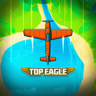 Top Eagle game cover
